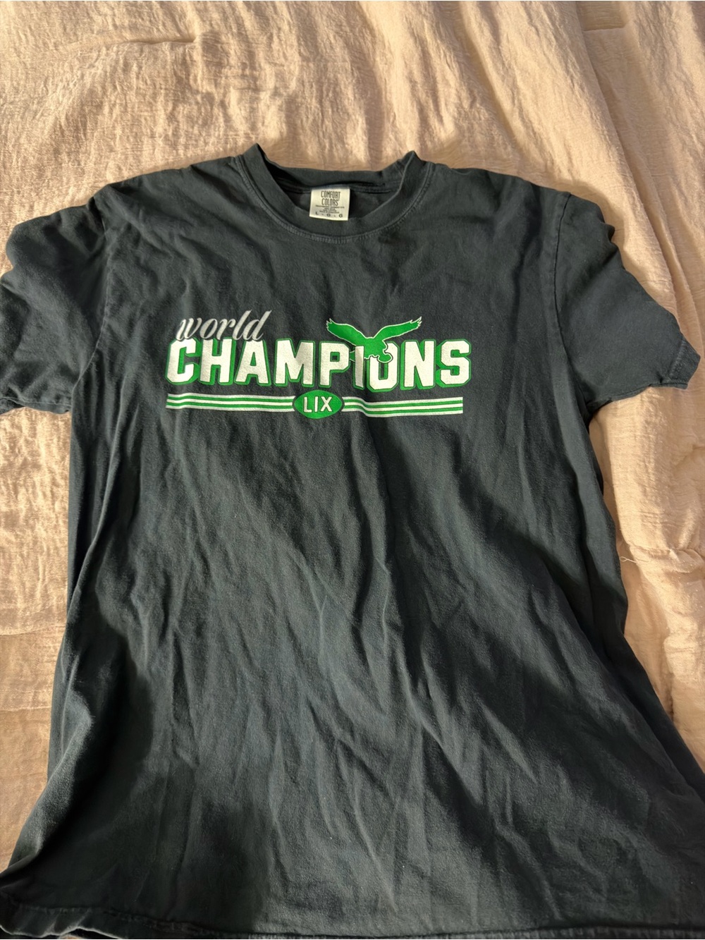 Comfort Colors Black Tee with Green and White 'Champions' Graphic